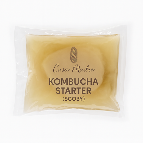 KOMBUCHA SCOBY